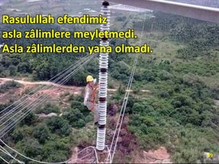 Rasulullah efendimiz
asla zâlimlere meyletmedi.
Asla zâlimlerden yana olmadı.
39
 