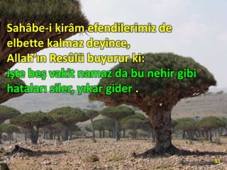 Sahâbe-i kirâm efendilerimiz de
elbette kalmaz deyince,
Allah’ın Resûlü buyurur ki:
işte beş vakit namaz da bu nehir gibi
hataları siler, yıkar gider .
51
 