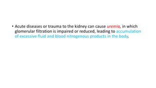 • Acute diseases or trauma to the kidney can cause uremia, in which
glomerular filtration is impaired or reduced, leading to accumulation
of excessive fluid and blood nitrogenous products in the body.
 