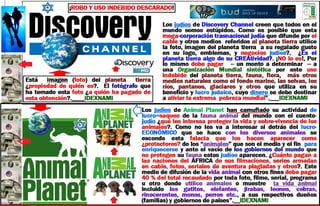 Dos empresas saqueadoras   discovery channel y animal planet - IDEXNAMI