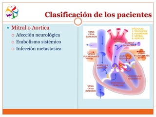 Clasificación de los pacientes
 Mitral o Aortica
    Afección neurológica
    Embolismo sistémico
    Infección metastasica
 