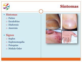 Síntomas

 Síntomas
   Fiebre

   Escalofríos

   Diaforesis

   Anorexia



 Signos
   Soplos

   Esplenomegalia

   Petequias

   Nódulo Osler
 