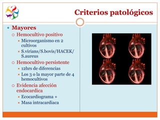 Criterios patológicos

 Mayores
   Hemocultivo positivo
       Microorganismo en 2
        cultivos
       S.virians/S.bovis/HACEK/
        S.aureus
     Hemocultivo persistente
       12hrs de diferencias
       Los 3 o la mayor parte de 4
        hemocultivos
     Evidencia afección
      endocardica
       Ecocardiograma +
       Masa intracardiaca
 