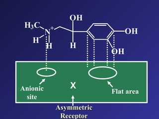 X
Asymmetric
Asymmetric
Receptor
Receptor
Flat area
Anionic
site
OH
OH
N
+
OH
H
H3C
H
H
 