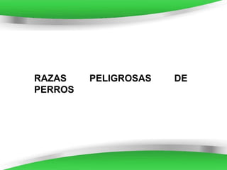 RAZAS
PERROS

PELIGROSAS

Powerpoint Templates

DE

Page 1

 