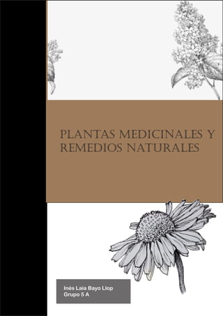 Inés Laia Bayo Llop
Grupo 5 A
Plantas Medicinales y
remedios naturales
 