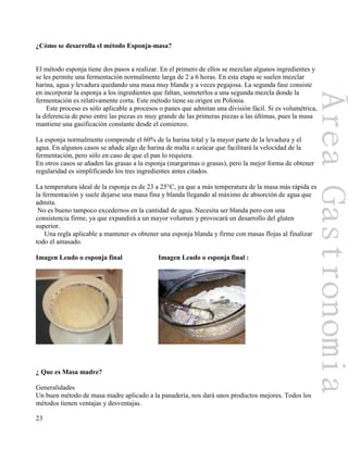 23
¿Cómo se desarrolla el método Esponja-masa?
El método esponja tiene dos pasos a realizar. En el primero de ellos se mezclan algunos ingredientes y
se les permite una fermentación normalmente larga de 2 a 6 horas. En esta etapa se suelen mezclar
harina, agua y levadura quedando una masa muy blanda y a veces pegajosa. La segunda fase consiste
en incorporar la esponja a los ingredientes que faltan, someterlos a una segunda mezcla donde la
fermentación es relativamente corta. Este método tiene su origen en Polonia.
Este proceso es sólo aplicable a procesos o panes que admitan una división fácil. Si es volumétrica,
la diferencia de peso entre las piezas es muy grande de las primeras piezas a las últimas, pues la masa
mantiene una gasificación constante desde el comienzo.
La esponja normalmente comprende el 60% de la harina total y la mayor parte de la levadura y el
agua. En algunos casos se añade algo de harina de malta o azúcar que facilitará la velocidad de la
fermentación, pero sólo en caso de que el pan lo requiera.
En otros casos se añaden las grasas a la esponja (margarinas o grasas), pero la mejor forma de obtener
regularidad es simplificando los tres ingredientes antes citados.
La temperatura ideal de la esponja es de 23 a 25°C, ya que a más temperatura de la masa más rápida es
la fermentación y suele dejarse una masa fina y blanda llegando al máximo de absorción de agua que
admita.
No es bueno tampoco excedernos en la cantidad de agua. Necesita ser blanda pero con una
consistencia firme, ya que expandirá a un mayor volumen y provocará un desarrollo del gluten
superior.
Una regla aplicable a mantener es obtener una esponja blanda y firme con masas flojas al finalizar
todo el amasado.
Imagen Leudo o esponja final Imagen Leudo o esponja final :
¿ Que es Masa madre?
Generalidades
Un buen método de masa madre aplicado a la panadería, nos dará unos productos mejores. Todos los
métodos tienen ventajas y desventajas.
 
