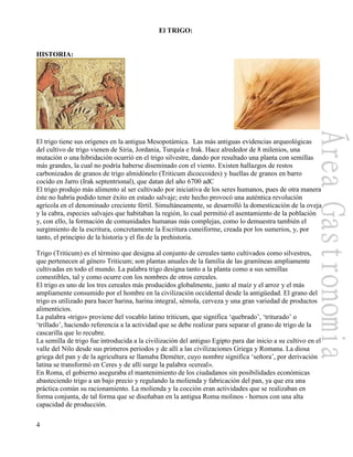 4
El TRIGO:
HISTORIA:
El trigo tiene sus orígenes en la antigua Mesopotámica. Las más antiguas evidencias arqueológicas
del cultivo de trigo vienen de Siria, Jordania, Turquía e Irak. Hace alrededor de 8 milenios, una
mutación o una hibridación ocurrió en el trigo silvestre, dando por resultado una planta con semillas
más grandes, la cual no podría haberse diseminado con el viento. Existen hallazgos de restos
carbonizados de granos de trigo almidónelo (Triticum dicoccoides) y huellas de granos en barro
cocido en Jarro (Irak septentrional), que datan del año 6700 adC
El trigo produjo más alimento al ser cultivado por iniciativa de los seres humanos, pues de otra manera
éste no habría podido tener éxito en estado salvaje; este hecho provocó una auténtica revolución
agrícola en el denominado creciente fértil. Simultáneamente, se desarrolló la domesticación de la oveja
y la cabra, especies salvajes que habitaban la región, lo cual permitió el asentamiento de la población
y, con ello, la formación de comunidades humanas más complejas, como lo demuestra también el
surgimiento de la escritura, concretamente la Escritura cuneiforme, creada por los sumerios, y, por
tanto, el principio de la historia y el fin de la prehistoria.
Trigo (Triticum) es el término que designa al conjunto de cereales tanto cultivados como silvestres,
que pertenecen al género Triticum; son plantas anuales de la familia de las gramíneas ampliamente
cultivadas en todo el mundo. La palabra trigo designa tanto a la planta como a sus semillas
comestibles, tal y como ocurre con los nombres de otros cereales.
El trigo es uno de los tres cereales más producidos globalmente, junto al maíz y el arroz y el más
ampliamente consumido por el hombre en la civilización occidental desde la antigüedad. El grano del
trigo es utilizado para hacer harina, harina integral, sémola, cerveza y una gran variedad de productos
alimenticios.
La palabra «trigo» proviene del vocablo latino triticum, que significa „quebrado‟, „triturado‟ o
„trillado‟, haciendo referencia a la actividad que se debe realizar para separar el grano de trigo de la
cascarilla que lo recubre.
La semilla de trigo fue introducida a la civilización del antiguo Egipto para dar inicio a su cultivo en el
valle del Nilo desde sus primeros periodos y de allí a las civilizaciones Griega y Romana. La diosa
griega del pan y de la agricultura se llamaba Deméter, cuyo nombre significa „señora‟, por derivación
latina se transformó en Ceres y de allí surge la palabra «cereal».
En Roma, el gobierno aseguraba el mantenimiento de los ciudadanos sin posibilidades económicas
abasteciendo trigo a un bajo precio y regulando la molienda y fabricación del pan, ya que era una
práctica común su racionamiento. La molienda y la cocción eran actividades que se realizaban en
forma conjunta, de tal forma que se diseñaban en la antigua Roma molinos - hornos con una alta
capacidad de producción.
 