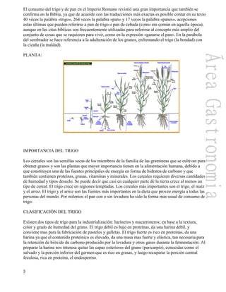 5
El consumo del trigo y de pan en el Imperio Romano revistió una gran importancia que también se
confirma en la Biblia, ya que de acuerdo con las traducciones más exactas es posible contar en su texto
40 veces la palabra «trigo», 264 veces la palabra «pan» y 17 veces la palabra «panes», acepciones
estas últimas que pueden referirse a pan de trigo o pan de cebada (como era común en aquella época),
aunque en las citas bíblicas son frecuentemente utilizadas para referirse al concepto más amplio del
conjunto de cosas que se requieren para vivir, como en la expresión «ganarse el pan». En la parábola
del sembrador se hace referencia a la adulteración de los granos, enfrentando el trigo (la bondad) con
la cizaña (la maldad).
PLANTA:
IMPORTANCIA DEL TRIGO
Los cereales son las semillas secas de los miembros de la familia de las gramíneas que se cultivan para
obtener granos y son las plantas que mayor importancia tienen en la alimentación humana, debido a
que constituyen una de las fuentes principales de energía en forma de hidratos de carbono y que
también contienen proteínas, grasas, vitaminas y minerales. Los cereales requieren diversas cantidades
de humedad y tipos desuelo. Se puede decir que casi en cualquier parte de la tierra crece al menos un
tipo de cereal. El trigo crece en regiones templadas. Los cereales más importantes son el trigo, el maíz
y el arroz. El trigo y el arroz son las fuentes más importantes en la dieta que provee energía a todas las
personas del mundo. Por milenios el pan con o sin levadura ha sido la forma mas usual de consumo de
trigo.
CLASIFICACIÓN DEL TRIGO
Existen dos tipos de trigo para la industrialización: harineros y macarroneros; en base a la textura,
color y grado de humedad del grano. El trigo débil es bajo en proteínas, da una harina débil, y
conviene mas para la fabricación de pasteles y galletas. El trigo fuerte es rico en proteínas, da una
harina ya que el contenido proteínico es elevado, da una masa mas fuerte y elástica, tan necesaria para
la retención de bióxido de carbono producido por la levadura y otros gases durante la fermentación. Al
preparar la harina nos interesa quitar las capas exteriores del grano (pericarpio), conocidas como el
salvado y la porción inferior del germen que es rico en grasas, y luego recuperar la porción central
feculosa, rica en proteína, el endospermo.
 