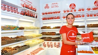 Dossier Wonkandy 2012