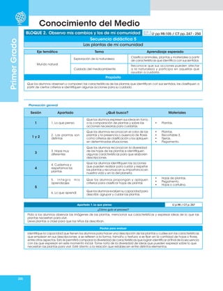 200
Primer
Grado
Conocimiento del Medio
Planeación general
Eje temático Tema Aprendizaje esperado
Mundo natural
Exploración de la naturaleza
Clasifica animales, plantas y materiales a partir
de características que identifica con sus sentidos.
Cuidado del medioambiente
Reconoce que sus acciones pueden afectar
a la naturaleza y participa en aquellas que
ayudan a cuidarla.
Propósito
Que los alumnos observen y comparen las características de las plantas que identifican con sus sentidos, las clasifiquen a
partir de ciertos criterios e identifiquen algunas acciones para su cuidado.
BLOQUE 2. Observo mis cambios y los de mi comunidad Lt pp.98-105 / CT pp. 247 - 250
Secuencia didáctica 5
Las plantas de mi comunidad
Sesión Apartado ¿Qué busco? Materiales
1 1. Lo que pienso
Que los alumnos expresen sus ideas en torno
a la comparación de plantas y sobre las
acciones necesarias para cuidarlas.
• Plantas.
1 y 2
2. Las plantas son
distintas
Que los alumnos reconozcan el color de las
plantas y la presencia o ausencia de flores
como criterios de clasificación y los apliquen
en determinadas situaciones.
• Plantas.
• Recortable 3.
• Tijeras.
• Pegamento.
3
3. Hojas muy
diferentes
Que los alumnos reconozcan la diversidad
de las hojas de las plantas e identifiquen
algunas características para que elaboren
descripciones.
4
4. Cuidamos y
respetamos las
plantas
Que los alumnos identifiquen las acciones
que pueden realizar para cuidar y respetar
las plantas y reconozcan su importancia en
nuestra vida y en la del planeta.
5
5 . I n t e g r o m i s
aprendizajes
Que los alumnos propongan y apliquen
criterios para clasificar hojas de plantas
• Hojas de plantas.
• Pegamento.
• Hojas o cartulina.
6. Lo que aprendí
Que los alumnos evalúen su capacidad para
describir, agrupar y cuidar las plantas.
Apartado 1. Lo que pienso Lt p.98 / CT p. 247
¿Cómo guío el proceso?
Pida a los alumnos observar las imágenes de las plantas, mencionar sus características y expresar ideas de lo que las
plantas necesitan para vivir.
Lleve plantas a clase para que los niños las describan.
Pautas para evaluar
Identifique la capacidad que tienen los alumnos para hacer una descripción de las plantas y cuáles son las características
que emplean en sus descripciones: si se refieren a la forma, tamaño o textura; si se fijan en la cantidad de hojas o flores,
entre otros aspectos. Esto le permitirá comparar la diversidad de características que logran identificar al final de la secuencia
con las que expresan en este momento inicial. Tome nota de la diversidad de ideas que pueden expresar sobre lo que
necesitan las plantas para vivir. Esté atento a la relación que establecen entre distintos elementos.
 
