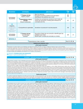 47
Modalidad Actividades ¿Qué busco?
Pág.
LT
Pág.
CT
Actividades
recurrentes
Tiempo de leer
“Sapito y sapón”
Que los alumnos:
Escuchen el poema, analicen de qué trata e
identifiquen las palabras que riman.
55
56
Aprendamos a leer y
escribir
Rimas y canciones
Analicen las semejanzas sonoras en los fi nales de
versos de canciones y rondas para introducir el
concepto de rima.
57 45
Proyecto.
Carteles para
una exposición
Etapa 6.
Presentamos la
exposición
1.Compartimos lo aprendido Socialicen el producto fi nal del proyecto. 58 46
Actividades
recurrentes
Tiempo de leer
“Los animales
cantores“
Escuchen el texto de una canción e identifi quen las
palabras que riman.
Identifi quen nombres de animales en el texto.
59 47
SEMANA 4
Aprendamos a leer y escribir LT p. 31 / CT. 24
Palabras que empiezan como…
¿Cómo guío el proceso?
Proponga a su grupo jugar con el alfabeto que está en la pared del salón. El juego consiste en pensar cosas cuyos nombres
comiencen igual que una palabra del alfabeto. Pídale a algún niño que pase a elegir la palabra. Puede tratar de leerla o simplemente señalarla. Los
demás dibujarán tres cosas que comiencen igual que la palabra elegida en el recuadro del libro de texto. Cuando terminen, pida a algunos niños
que compartan qué dibujaron. Escriba esas palabras en el pizarrón para que puedan analizar por ellos mismos si empiezan igual que el ejemplo. Al
finalizar, pídales que agreguen las palabras a su Cuaderno de palabras.
Actividad 1. ¿Dónde buscamos información? LT p. 32 / CT. 26
¿Cómo guío el proceso?
Prepare libros, revistas y otros materiales para buscar información sobre animales. Explique que en esta ocasión investigarán sobre animales en libros,
revistas, enciclopedias o videos. Con la información obtenida, elaborarán un cartel y compartirán lo aprendido con toda la escuela. Inicie motivando
a los alumnos preguntándoles sobre sus gustos en cuestión de animales, como: ¿Cuáles conocen? ¿Qué saben de ellos? Pregúnteles si saben qué
comen, dónde viven o cómo nacen. Dígales que primero van a leer sobre las ballenas para que juntos observen cómo buscar información que les sirva
para el proyecto. Luego cada equipo elegirá el animal sobre el que quiere saber más.
Platique con los alumnos acerca de dónde pueden localizar información sobre las ballenas y cómo saber dónde buscar dentro de un libro. Esta
práctica introduce los textos informativos como un recurso para iniciarse en el mundo de los nuevos conocimientos sobre temas particulares, antes de
poder leer de manera autónoma. Ayude a los niños a distinguir entre el contenido de los textos tomados de enciclopedias o de otros libros informativos
del de los textos literarios, a partir de la lectura de diferentes párrafos, tanto de textos informativos como de cuentos. La lectura que realice les permitirá
responder preguntas específicas y los introducirá en el tipo de contenido de textos expositivos. Al leer, no omita ni cambie palabras, ayude a descubrir
el significado de palabras nuevas o difíciles a partir del contexto y responda sus dudas. Vuelva a leer la información de alguno de los textos que sea
útil para responder las preguntas.
Pautas para evaluar
En ciertas condiciones didácticas, los niños que aún no leen convencionalmente usan las mismas estrategias básicas que los lectores experimentados:
anticipan significados posibles en función de la coordinación de las ilustraciones y datos del texto con datos del contexto. Registre quiénes ya pueden: •
Reconocer diferentes tipos de textos según su función, utilidad o propósito. • Anticipar de qué se trata un texto a partir de la portada, título e ilustraciones.
Proyecto: Carteles para una exposición
Etapa 1. Leemos para saber más
Actividad 2. Leemos textos informativos LT p. 33 / CT. 27
¿Cómo guío el proceso?
Coménteles que en su libro de texto hay cuatro textos tomados de diferentes libros sobre ballenas. Antes de leer pida a los niños que localicen los
títulos de los cuatro textos. Luego, realice preguntas como: ¿Dónde creen que dice ballena? ¿Por qué?. Si requieren ayuda, escriba en el pizarrón
la palabra balero (el juguete), y anuncie que allí dice balero: ¿Qué parte de balero sirve para saber dónde dice ballena? ¿Por qué?. Una vez
localizada la palabra ballena, pregunte qué información pueden obtener de las imágenes: ¿Qué sabemos de las ballenas al ver las imágenes?
Anote en el pizarrón la información que los niños anticipen a partir de las imágenes. Lea los textos para que ellos puedan conocer más a este
animal. Después de la primera lectura, anime a los niños a comparar lo que anticiparon a partir de las imágenes con lo que acaban de escuchar.
Pregunte qué otro nombre se da a las ballenas. Si es necesario, relea los textos. Pregunte si con lo leído pueden saber más cosas. Por ejemplo,
cómo son, dónde viven, qué tipos de ballenas hay, cómo respiran, qué comen y cómo nacen las ballenas. Lea en voz alta algunos de los pasajes
señalados para confirmar que allí se encuentra o no la información buscada, como en este caso: —Voy a leer una parte del texto... En este texto
se mencionan dos tipos de ballenas: la ballena azul, que es de gran tamaño, y la ballena Boreal, que vive mucho tiempo. ¿Esta información les
sirve para responder alguna de las preguntas? Pídales que busquen en el texto cierta información que les leyó, por ejemplo, ubíquelos en el tercer
párrafo y pregunte: ¿Dónde dice mamíferos? Aporte más información para que los niños puedan integrar mediante su interpretación: ¿Por qué
dice un texto que las ballenas respiran aire de la atmósfera y en otro, que tienen respiración pulmonar? ¿Hay información que se repite en varios
textos? ¿Cuál? El intercambio oral del grupo guiado por usted al término de las lecturas permitirá localizar información específica y útil, y realizar las
inferencias necesarias para comprender los textos.
 