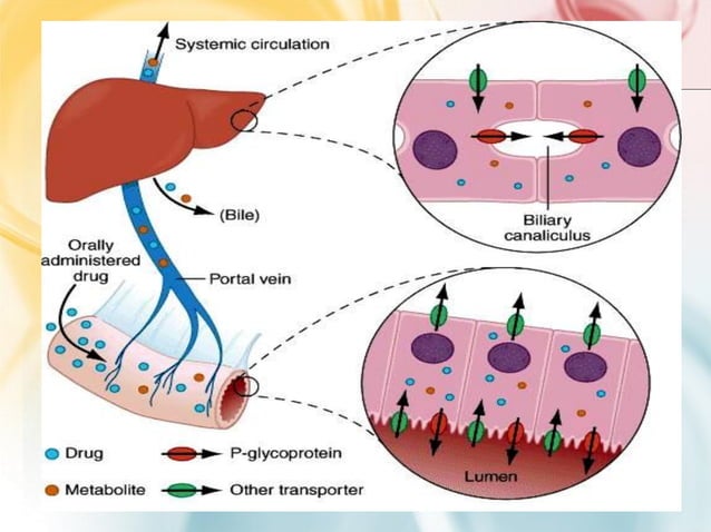 gabapentin dosing in liver failure