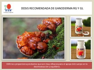 DOSIS 
RECOMENDADA 
DE 
GANODERMA 
RG 
Y 
GL 
DXN 
nos 
proporciona 
productos 
que 
son 
muy 
eficaces 
para 
el 
apoyo 
del 
cuerpo 
en 
la 
desintoxicación 
y 
equilibrio. 
 