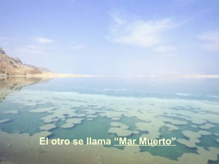 El otro se llama  “ Mar Muerto ” 