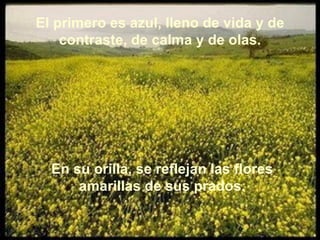 El primero es azul, lleno de vida y de contraste, de calma y de olas. En su orilla, se reflejan las flores amarillas de sus prados. 