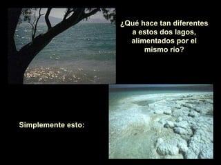 ¿Qué hace tan diferentes a estos dos lagos, alimentados por el mismo río? Simplemente esto: 