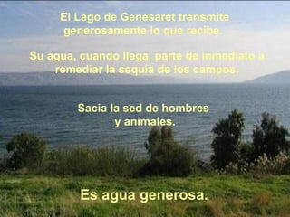 El Lago de Genesaret transmite generosamente lo que recibe.  Su agua, cuando llega, parte de inmediato a remediar la sequía de los campos. Sacia la sed de hombres  y animales. Es agua generosa. 