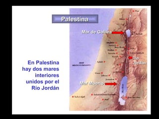 Mar de Galilea Mar Muerto Palestina Río  Jordán En Palestina hay dos mares interiores unidos por el Río Jordán 
