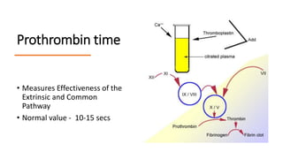 Prothrombin Normal Comprehensive Overview of Bleeding Disorders and Hemostasis Mechanisms ...