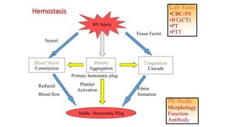 Comprehensive Overview of Bleeding Disorders and Hemostasis Mechanisms ...