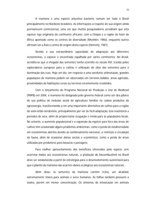 29
A mamona é uma espécie arbustiva bastante comum em todo o Brasil
principalmente no Nordeste brasileiro. As informações a respeito de sua origem ainda
permanecem controversas, uma vez que muitos pesquisadores acreditam que esta
espécie seja originária do continente africano; com a Etiópia e a região do leste da
África apontado como os centros de diversidade (Moshkin, 1986), enquanto outros
afirmam ser a Ásia o centro de origem desta espécie (Hemerly, 1981).
Devido à sua extraordinária capacidade de adaptação aos diferentes
ecossistemas, a espécie é encontrada espalhada por vários continentes. No Brasil,
acredita-se que a chegada das sementes tenha ocorrido no século XVI, trazida pelos
exploradores europeus para o cultivo e utilização do óleo das sementes para a
iluminação das ruas. Hoje em dia, em resposta a uma excelente aclimatação, grandes
populações de mamona podem ser observadas em terrenos baldios, áreas agrícolas,
proximidades de habitações rurais ou terrenos recentemente revolvidos.
Com o lançamento do Programa Nacional de Produção e Uso de Biodiesel
(PNPB) em 2004, a mamona foi designada pelo governo federal como um dos pilares
de sua política de inclusão social da agricultura familiar na cadeia produtiva da
agroenergia, transformando-a em uma importante alternativa de cultivo para a região
do semi-árido nordestino, principalmente por ser de fácil adaptação, boa resistência a
períodos de seca, além de proporcionar ocupação e renda para as populações locais.
No entanto, o aumento populacional e a expansão da espécie para fora das áreas de
cultivo têm ocasionado alguns problemas ambientais, como a perda de biodiversidade
em ecossistemas abertos devido ao sombreamento excessivo, a restrição à circulação
da fauna, além de ocasionar danos sociais e econômicos, como a perda de áreas
utilizadas por produtores para lavouras e pastagens.
Para melhor aproveitamento dos benefícios oferecidos pela espécie sem
acarretar dados aos ecossistemas naturais, a produção do biocombustível no Brasil
deve ser estabelecida a partir de estratégias para o desenvolvimento sustentável para
que o plantio da mamona não acarrete danos ecológicos aos ecossistemas naturais.
Além disso, as sementes da mamona contêm rícino, um alcalóide
extremamente tóxico para animais e seres humanos. As folhas também possuem a
toxina, porém em menor concentração. Os sintomas da intoxicação em animais
 