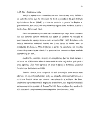 31
4.3.5. Nim – Azadirachta indica
A espécie popularmente conhecida como Nim é uma árvore nativa da Índia e
do sudoeste asiático que, foi introduzida no Brasil na década de 80, pelo Instituto
Agronômico do Paraná (IAPAR), por meio de sementes originárias das Filipinas e,
posteriormente, teve seu cultivo implantado nas regiões Norte, Nordeste, Sudeste e
Centro-Oeste (Bittencourt, 2006).
O Nim é amplamente promovido como uma espécie para agro floresta, uma vez
que suas sementes contêm substâncias que podem ser utilizadas na produção de
pesticidas naturais, não-agressivos ao meio ambiente (GISP, 2005). Entretanto, esta
espécie mostrou-se altamente invasora em outras partes do mundo onde foi
introduzida. Em Gana, na África Ocidental, as perdas na agricultura e os impactos
ambientais provocados por esta espécie aparentemente excedem qualquer beneficio
econômico (GISP, 2005).
Atualmente, a espécie é invasora em ecossistemas diversos, desde campos e
cerrados até ecossistemas florestais bem como de áreas degradadas, pastagens e
áreas agrícolas, sendo muito agressiva em áreas de Savana e de Floresta Estacional
Semidecidual (Instituto Hórus, 2008).
De difícil controle, dada a dispersão por aves e morcegos, o nim invade áreas
abertas e em ecossistemas florestais onde, por alelopatia, eliminou gradativamente a
cobertura florestal nativa para dominar completamente o ambiente. Na África,
atualmente representa um fator de prejuízo a fazendeiros, que despendem recursos
para destocar áreas invadidas. A Reserva Shai Hills Game, em Gana, tem atualmente
60% de sua área completamente dominada por Nim (Instituto Hórus, 2008).
 