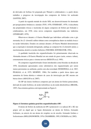 de derivados de fosfinas foi preparada por Thinard e colaboradores e a partir destes
trabalhos o progresso da investigação dos compostos de fósforo foi acelerado
(SANTOS, 2007).
       A partir da segunda metade do século XIX, seu desenvolvimento foi dominado
por pesquisadores britânicos e alemães (TOY, 1976; STODDART, 1979). A descoberta
das propriedades tóxicas e inseticidas de alguns compostos de fósforo por Schrader e
colaboradores, em 1930, criou novos compostos organofosforados nas indústrias
(STODDART, 1979).
       Observou-se durante a I Guerra Mundial que indivíduos asfixiados com o gás
mostarda, bis (2- cloroetil) sulfeto tinham como conseqüências danos na medula óssea e
no tecido linfocitário. Estudos em animais durante a II Guerra Mundial demonstraram
que a exposição à mostarda nitrogenada, análoga ao composto bis (2-cloroetil) amino, a
mecloretamina, destrói os tecidos linfócitos (TEICHER; SOTOMAYOR, 1994).
       A qualidade inseticida dos organofosforados foi primeiramente observada na
Alemanha durante a II Guerra Mundial em um estudo de gases (sarin, soman e tabun),
extremamente tóxicos para o sistema nervoso (ROSATI et al, 1995).
       Os compostos organofosforados foram introduzidos como biocidas na década de
1970, inicialmente apresentados como substitutivos dos organoclorados por serem
menos persistentes no ambiente, porém com alta toxicidade (WOODWELL et al, 1967;
PEAKALL et al, 1975; MURPHY, 1986). Foi também a partir dessa época que
aumentou de forma drástica o número de casos de intoxicação por OP, mesmo em
baixas doses (ARAUJO et al, 2007).
       Os OP são ésteres fosfóricos compostos por um átomo de fósforo pentavalente,
derivado do ácido fosfórico, do ácido tiofosfórico ou do ácido ditiofosfórico (BRASIL,
1997). Sua estrutura química está representada na Figura 4.




Figura 4. Estrutura química geral dos organofosforados (OP)
       O átomo de fósforo da molécula do OP é polarizável e os radicais R1 e R2 são
grupos aril ou alquil que se ligam diretamente ao átomo de fósforo, formando
fosfinatos, ou através de um átomo de oxigênio ou de enxofre, formando fosfatos e
fosforotioatos (HOLLINGWORTH, 1976; CHAMBERS, 1995; COCKER et al, 2002).



                                          54
 