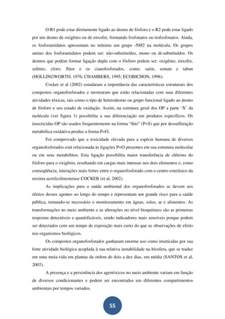 O R1 pode estar diretamente ligado ao átomo de fósforo e o R2 pode estar ligado
por um átomo de oxigênio ou de enxofre, formando fosfonatos ou tiofosfonatos. Ainda,
os fosforamidatos apresentam no mínimo um grupo -NH2 na molécula. Os grupos
amino dos fosforamidatos podem ser: não-substituídos, mono ou di-substituídos. Os
átomos que podem formar ligação dupla com o fósforo podem ser: oxigênio, enxofre,
selênio,   cloro,   flúor   e   os   cianofosforados,   como,   sarin,   soman   e   tabun
(HOLLINGWORTH, 1976; CHAMBERS, 1995; ECOBICHON, 1996).
         Cocker et al (2002) estudaram a importância das características estruturais dos
compostos organofosforados e mostraram que estão relacionadas com suas diferentes
atividades tóxicas, tais como o tipo de heteroátomo ou grupo funcional ligado ao átomo
de fósforo e seu estado de oxidação. Assim, na estrutura geral dos OP a parte ‘X’ da
molécula (ver figura 1) possibilita a sua diferenciação em produtos específicos. Os
insecticidas OP são usados frequentemente na forma “thio” (P=S) que por dessulfuração
metabólica oxidativa produz a forma P=O.
         Foi comprovado que a toxicidade elevada para a espécie humana de diversos
organofosforados está relacionada às ligações P=O presentes em sua estrutura molecular
ou em seus metabólitos. Esta ligação possibilita maior transferência de elétrons do
fósforo para o oxigênio, resultando em cargas mais intensas nos dois elementos e, como
conseqüência, interações mais fortes entre o organofosforado com o centro esterásico da
enzima acetilcolinesterase COCKER (et al, 2002).
         As implicações para a saúde ambiental dos organofosforados se devem aos
efeitos desses agentes ao longo do tempo e representam um grande risco para a saúde
pública, tornando-se necessário o monitoramento em águas, solos, ar e alimentos. As
transformações no meio ambiente e as alterações no nível bioquímico são as primeiras
respostas detectáveis e quantificáveis, sendo indicadores mais sensíveis porque podem
ser detectados com um tempo de exposição mais curto do que as observações de efeito
nos organismos biológicos.
         Os compostos organofosforados ganharam enorme uso como inseticidas por sua
forte atividade biológica acoplada à sua relativa instabilidade na biosfera, que se traduz
em uma meia-vida em plantas da ordem de dois a dez dias, em média (SANTOS et al,
2007).
         A presença e a persistência dos agrotóxicos no meio ambiente variam em função
de diversos condicionantes e podem ser encontrados em diferentes compartimentos
ambientais por tempos variados.


                                            55
 