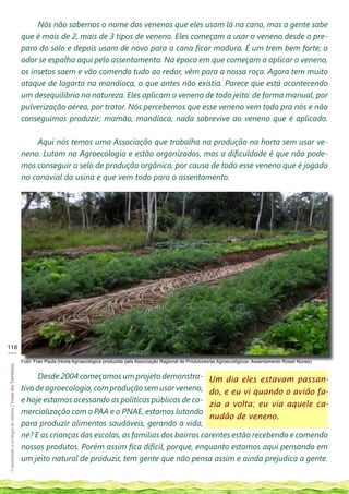 Nós não sabemos o nome dos venenos que eles usam lá na cana, mas a gente sabe
                                                            que é mais de 2, mais de 3 tipos de veneno. Eles começam a usar o veneno desde o pre-
                                                            paro do solo e depois usam de novo para a cana ficar madura. É um trem bem forte; o
                                                            odor se espalha aqui pelo assentamento. Na época em que começam a aplicar o veneno,
                                                            os insetos saem e vão comendo tudo ao redor, vêm para a nossa roça. Agora tem muito
                                                            ataque de lagarta na mandioca, o que antes não existia. Parece que está acontecendo
                                                            um desequilíbrio na natureza. Eles aplicam o veneno de todo jeito: de forma manual, por
                                                            pulverização aérea, por trator. Nós percebemos que esse veneno vem todo pra nós e não
                                                            conseguimos produzir; mamão, mandioca, nada sobrevive ao veneno que é aplicado.

                                                                Aqui nós temos uma Associação que trabalha na produção na horta sem usar ve-
                                                            neno. Lutam na Agroecologia e estão organizados, mas a dificuldade é que não pode-
                                                            mos conseguir o selo de produção orgânica, por causa de todo esse veneno que é jogado
                                                            no canavial da usina e que vem todo para o assentamento.




118
___
                                                            Foto: Fran Paula (Horta Agroecológica produzida pela Associação Regional de Produtores/as Agroecológicos- Assentamento Roseli Nunes)
Construindo a ecologia de saberes | Vozes dos Territórios




                                                                  Desde 2004 começamos um projeto demonstra- Um dia eles estavam passan-
                                                            tivo de agroecologia, com produção sem usar veneno, do, e eu vi quando o avião fa-
                                                            e hoje estamos acessando as políticas públicas de co-
                                                                                                                     zia a volta; eu via aquele ca-
                                                            mercialização com o PAA e o PNAE, estamos lutando
                                                                                                                     nudão de veneno.
                                                            para produzir alimentos saudáveis, gerando a vida,
                                                            né? E as crianças das escolas, as famílias dos bairros carentes estão recebendo e comendo
                                                            nossos produtos. Porém assim fica difícil, porque, enquanto estamos aqui pensando em
                                                            um jeito natural de produzir, tem gente que não pensa assim e ainda prejudica a gente.
 