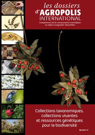 Compétences de la communauté scientifique
en région Languedoc-Roussillon

Collections taxonomiques,
collections vivantes
et ressources génétiques
pour la biodiversité
Numéro 17

 