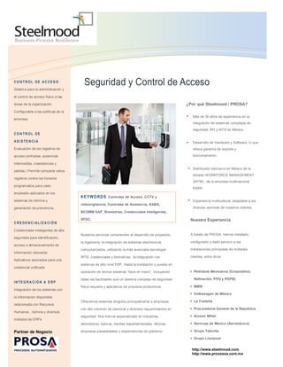 Dossier Seguridad y Control de Acceso | PDF