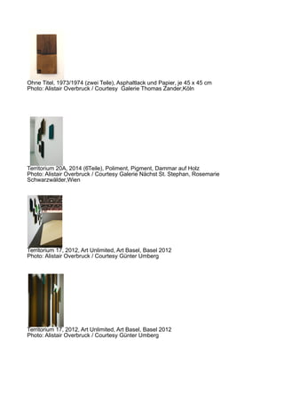 Ohne Titel, 1973/1974 (zwei Teile), Asphaltlack und Papier, je 45 x 45 cm
Photo: Alistair Overbruck / Courtesy Galerie Thomas Zander,Köln
Territorium 20A, 2014 (6Teile), Poliment, Pigment, Dammar auf Holz
Photo: Alistair Overbruck / Courtesy Galerie Nächst St. Stephan, Rosemarie
Schwarzwälder,Wien
Territorium 17, 2012, Art Unlimited, Art Basel, Basel 2012
Photo: Alistair Overbruck / Courtesy Günter Umberg
Territorium 17, 2012, Art Unlimited, Art Basel, Basel 2012
Photo: Alistair Overbruck / Courtesy Günter Umberg
 