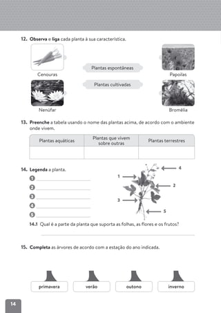 Dossier do-professor-estudo-do-meio-2