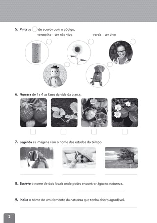 Dossier do-professor-estudo-do-meio-2