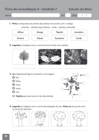 Dossier do-professor-estudo-do-meio-2