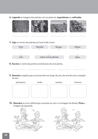 Dossier do-professor-estudo-do-meio-2