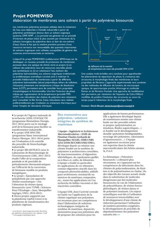 Projet POMEWISO
élaboration de membranes sans solvant à partir de polymères biosourcés

L’objectif du projet POMEWISO (collaboration IEM/Irstea) est de
développer un nouveau procédé de production de membranes
poreuses dans une optique de chimie verte et propre (i) en
utilisant des polymères issus de ressources naturelles plutôt
que synthétiques et (ii) en substituant l’eau (solvant des
polymères hydrosolubles) aux solvants organiques traditionnels.
La problématique scientifique consiste ainsi à maîtriser le
procédé d’élaboration de membranes à partir de différents
polymères hydrosolubles (alcool polyvinilique, éthers de cellulose,
chitosane) présentant une température critique de dissolution
basse (LCST), permettant ainsi de contrôler leurs propriétés
morphologiques et fonctionnelles. Une fois l’inversion de phase
induite par augmentation de la température (procédé TIPSLCST), une réticulation des chaînes de polymère sera nécessaire
pour consolider le film formé. Cette réticulation sera réalisée
préférentiellement par irradiation ou traitement thermique pour
éviter l’emploi de réticulants chimiques.

 Le projet de l’Agence nationale de
la recherche (ANR) STOCKACTIF
(programme Biomatières-Énergie,
2011-2014) porte sur le stockage
actif de la biomasse pour faciliter sa
transformation industrielle.
 Le projet ANR SPECTRE
(programme blanc international
France-Mexique, 2011-2014) porte
sur l’évaluation et le contrôle
des procédés de biotechnologie
industrielle.
 Le projet 3BCAR PEACE (avec le
Laboratoire de Biotechnologie de
l’Environnement [LBE], 2011-2013)
étudie l’effet de la composition
pariétale et de procédés de
prétraitements thermomécaniques
sur l’efficacité de la conversion
de biomasse modèle en produits
énergétiques.
 Le projet « Époxydation de
polyphénols par une approche
chimio-enzymatique » vise
l’obtention de résines époxy
biosourcées (avec l’UMR « Sciences
Pour l’Œnologie » [Inra, Montpellier
SupAgro, UM1], 2010-2012).
 Divers projets supportés par
la plateforme LipPol-Green et la
plateforme de transformation des
produits végétaux.
* www.3bcar.fr/~abcar/images/stories/pdf_3bcar/fiche_
iate_plateforme_fractionnement_des_vegetaux_v3.pdf
** www.supagro.fr/plantlippol-green

T

Diphasic

Spinodal curve

Spinodal
region

Binodal curve

Binodal
region

LCST
Monophasic

φ vol

 Influence de la montée
de température au cours du procédé TIPS-LCST.

Une analyse multi-échelles sera conduite pour appréhender
les phénomènes de séparation de phase, la croissance des
structures, la morphologie finale des membranes et leurs
propriétés de filtration. L’approche expérimentale sera conduite
via des méthodes de diffusion de lumière, de microscopie
optique, de spectroscopie proche infrarouge et confocale
Raman et de filtration frontale. Une approche de modélisation
doit permettre, par résolution de l’équation de Cahn-Hilliard
modifiée, de prédire l’évolution des structures au cours du
temps jusqu’à l’obtention de la morphologie finale.
Contact : Denis Bouyer, denis.bouyer@univ-montp2.fr

Des monomères aux
polymères : solutions
intégrées de synthèse de
matériaux
L’équipe « Ingénierie et Architectures
Macromoléculaires » (IAM) de
l’Institut Charles Gerhardt de
Montpellier (ICGM), UMR CNRS
5253 (ENSCM/CNRS/UM2/UM1),
développe depuis sa création une
chimie fondée sur la synthèse de
polymères à architectures contrôlées,
de macromonomères, d’oligomères
téléchéliques, de copolymères greffés
ou à blocs et, enfin, de télomères.
L’équipe a étudié en particulier
les applications de ces télomères
comme oligomères réactifs dans les
composés photoréticulables, additifs
pour revêtements, tensioactifs ou
matrices de matériaux composites,
etc., toutes les applications où l’on
recherche de faibles viscosités et des
réactivités contrôlées.
L’équipe IAM, dont l’activité centrale
est basée sur l’application de la
chimie organique aux polymères,
est reconnue pour ses compétences
dans l’élaboration de solutions
technologiques intégrées de
synthèse de matériaux, depuis les
monomères jusqu’aux polymères afin
de proposer des solutions pour les

applications de hautes performances.
Elle a également développé depuis
de nombreuses années une chimie
basée sur des procédés sobres
et propres (polymérisation en
émulsion, fluides supercritiques…)
et fondée sur le développement
durable (polymères biodégradables,
recyclage des polymères, valorisation
d’agroressources…). L’équipe
est également reconnue pour
son expertise dans la chimie
macromoléculaire des hétéro-atomes
Si, P et F.
La thématique « Polymères
biosourcés » a démarré plus
récemment, en s’appuyant sur les
compétences du laboratoire dans les
chimies de polycondensation, de thiolène et de polymérisation en chaîne. Un
des objectifs des travaux actuels réside
dans la substitution de molécules
dangereuses par des molécules
biosourcées en vue de l’élaboration
de polyuréthanes, de résines formophénoliques, de résines époxy et
de polyesters insaturés. Les enjeux
scientifiques sont liés à l’utilisation
de ressources renouvelables avec
le développement d’une chimie de
réduction permettant l’utilisation
de matières premières oxygénées,
le développement de procédés de
dépolymérisation (les polymères
naturels tels •••

Écotechnologies

Les membranes polymères poreuses utilisées dans le traitement
de l’eau sont élaborées à l’échelle industrielle à partir de
polymères synthétiques dissous dans un solvant organique
(acétone, DMF, NMP…). La porosité est générée via un procédé
d’inversion de phase induit le plus souvent par immersion de la
solution homogène de polymères dans un bain de non-solvant
(l’eau). Outre le fait que la matière première provient d’une
ressource terrestre non renouvelable, des quantités importantes
de solvants organiques sont utilisées, susceptibles de générer des
nuisances environnementales et sanitaires.

13

 