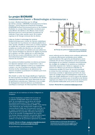 Le projet BIORARE
investissement d’avenir « Biotechnologies et bioressources »
Le projet « Bioélectrosynthèse pour le raffinage
des déchets résiduels » (BIORARE, Irstea/Laboratoire de Génie
Chimique - Centre National de la Recherche Scientifique
[CNRS]/LBE-Inra/Suez Environnement) porte sur des modalités
d’utilisation du concept d’électrosynthèse microbienne pour
la bioraffinerie des déchets et des effluents. Cette récente
découverte pourrait à terme permettre la production de
molécules à haute valeur ajoutée à partir de la matière
organique et de l’énergie contenues dans les déchets.
L’idée est d’utiliser la technologie des systèmes
bioélectrochimiques pour orienter les réactions métaboliques
du bioprocédé vers la production de molécules plateformes, à
valeur ajoutée, utilisables en chimie verte. La matière organique
est oxydée dans un premier compartiment par une biomasse
complexe qui transfère des électrons sur une anode. Les
électrons arrivent ensuite à la cathode où ils sont utilisés lors
d’une réaction biologique de réduction. En régulant le potentiel
de la cathode à une valeur déduite par un calcul théorique
(loi de Nernst), on peut artificiellement créer les conditions
thermodynamiques permettant uniquement à certaines
réactions de se produire.
Ces systèmes de bioélectrosynthèse microbienne permettent
une séparation physique entre un compartiment « sale »
recevant la matière organique à traiter et un compartiment
« propre » où a lieu la synthèse de molécules d’intérêt,
d’orienter les flux métaboliques et de sélectionner les
réactions d’oxydation se produisant à la cathode à partir de la
régulation du potentiel.
Afin d’établir un cahier des charges détaillé pour l’application
de l’électrosynthèse microbienne à la bioraffinerie des déchets
organiques, les composants clefs seront déterminés ainsi que
les spécifications associées pour l’élaboration d’une stratégie
de développement industriel ultérieure. Les fondements
scientifiques et techniques de l’électrosynthèse microbienne

© T. Bouchez

 Principe du système de bioélectrosynthèse microbienne
utilisé dans le projet BIORARE.

seront renforcés puis les relations entre conditions opératoires
et molécules effectivement synthétisées seront validées
expérimentalement. Des approches pluridisciplinaires seront
combinées afin de mieux comprendre et cerner le potentiel
technologique de ces systèmes. L’évaluation environnementale
des stratégies de couplage de ces systèmes aux installations
industrielles existantes sera réalisée en s’appuyant sur des
scénarios de référence qui permettront d’identifier les
composantes sensibles d’un point de vue environnemental
et orienter les choix techniques ou industriels. Une analyse
économique, sociétale et règlementaire permettra de mieux
cadrer les stratégies futures de développement industriel. Un
cahier des charges détaillé pour la mise en œuvre des systèmes
d’électrosynthèse microbienne pour la bioraffinerie des déchets
organiques sera élaboré et les mesures associées de protection
de la propriété intellectuelle seront prises le cas échéant.
Contact : Nicolas Bernet, nicolas.bernet@supagro.inra.fr

Contacts : Nicolas Le-Moigne, nicolas.le-moigne@mines-ales.fr
& Martial Sauceau, martial.sauceau@mines-albi.fr
Pour plus d’informations : http://cmm.ensmp.fr/Nanomines

© École des Mines d’Alès – CMGD

La matrice bioplastique considérée dans le projet est
un polymère biodégradable obtenu par extraction à
partir de microorganismes qui fait partie de la famille
des polyhydroxyalcanoates (PHA), à savoir le poly(3hydroxybutyrate-co-3-hydroxyvalérate) (PHBV). Cette matrice
a été renforcée par des nanoparticules d’argile de type
montmorillonite à faible taux d’incorporation (moins de 3 %
en masse). L’incorporation de l’argile a permis d’améliorer
significativement les propriétés mécaniques, thermiques et
au feu, et de contrôler la biodégradation de la matrice.
Les mousses obtenues présentent une porosité allant jusqu’à
50 % mais avec une homogénéité de taille de cellules à
améliorer via l’étude des paramètres opératoires du procédé.
 Observation au microscope électronique à
transmission de la dispersion des argiles au sein
d’une mousse bionanocomposite PHBV/argiles.

Écotechnologies

amélioration de ces matériaux en termes d’allégement et
d’isolation.

17

 