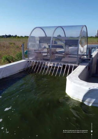 Écotechnologies

© Inra-LBE

 Roue à aube pour la mise en suspension
d’une culture de micro-algue à ciel ouvert.

27

 