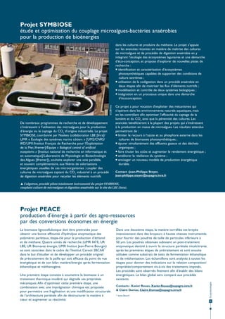 Projet SYMBIOSE
étude et optimisation du couplage microalgues-bactéries anaérobies
pour la production de bioénergies

© LBE-Inra

dans les cultures et produire du méthane. Le projet s’appuie
sur les avancées récentes en matière de maîtrise des cultures
de microalgues et de procédés de digestion anaérobie en y
intégrant l’écologie des écosystèmes lagunaires et une démarche
d’éco-conception, et propose d’explorer de nouvelles pistes de
recherche :
 identification et caractérisation d’écosystèmes
photosynthétiques capables de supporter des conditions de
culture extrêmes ;
 utilisation de la codigestion dans un procédé anaérobie en
deux étapes afin de maitriser les flux d’éléments nutritifs ;
 modélisation et contrôle de deux systèmes biologiques ;
 intégration en un processus unique dans une démarche
d’écoconception.

De nombreux programmes de recherche et de développement
s’intéressent à l’utilisation des microalgues pour la production
d’énergie ou le captage du CO2 d’origine industrielle. Le projet
SYMBIOSE, coordonné par Naskeo (collaboration LBE [Inra]/
UMR « Écologie des systèmes marins côtiers » [UM2/CNRS/
IRD/UM1/Institut Français de Recherche pour l’Exploitation
de la Mer, Ifremer]/Équipe « Biological control of artificial
ecosystems » [Institut national de recherche en informatique et
en automatique]/Laboratoire de Physiologie et Biotechnologie
des Algues [Ifremer]), souhaite explorer une voie parallèle,
et souvent complémentaire, aux filières de valorisations
énergétiques usuelles de ces microorganismes : coupler des
cultures de microalgues captant du CO2 industriel à un procédé
de digestion anaérobie pour recycler les éléments nutritifs

Ce projet a pour vocation d’exploiter des mécanismes qui
s’opèrent dans les environnements naturels aquatiques, mais
en les contrôlant afin optimiser l’efficacité du captage de la
lumière et du CO2 ainsi que la pérennité des cultures. Les
avancées bénéficieront à la plupart des projets qui s’intéressent
à la production en masse de microalgues. Les résultats attendus
permettront de :
 limiter le recours à l’azote et au phosphore externe dans les
cultures de biomasses photosynthétiques ;
 épurer simultanément des effluents gazeux et des déchets
organiques ;
 faire chuter les coûts et augmenter le rendement énergétique ;
 améliorer la résilience du système ;
 envisager un nouveau modèle de production énergétique
durable.
Contact : Jean-Philippe Steyer,
jean-philippe.steyer@supagro.inra.fr

 L’algotron, procédé pilote totalement instrumenté du projet SYMBIOSE,
couplant culture de microalgues et digestion anaérobie sur le site du LBE (Inra).

Projet PEACE
production d’énergie à partir des agro-ressources
par des conversions économes en énergie

Une première étape consiste à soumettre la biomasse à un
traitement thermique modéré qui dégrade ses propriétés
mécaniques. Afin d’optimiser cette première étape, une
combinaison avec une imprégnation chimique est proposée
pour permettre une fragilisation et une modification structurale
de l’architecture pariétale afin de déstructurer la matière à
cœur et augmenter sa réactivité.

Dans une deuxième étape, la matière torréfiée est broyée
intensivement dans des broyeurs à hautes vitesses instrumentés
pour fournir des poudres de taille de particules inférieure à
50 µm. Les poudres obtenues subissent un post-traitement
enzymatique destiné à ouvrir la structure pariétale récalcitrante
après les premières étapes de prétraitement et sont ensuite
utilisées comme substrats de tests de fermentation éthanolique
et de méthanisation. Les échantillons sont analysés à toutes les
étapes pour donner des indications sur la relation composition/
propriétés/comportement vis-à-vis des traitements imposés.
Les procédés sont observés finement afin d’établir des bilans
énergétiques. Le bilan global sera comparé aux procédés
existants.
Contacts : Xavier Rouau, Xavier.Rouau@supagro.inra.fr
& Claire Dumas, Claire.Dumas@supagro.inra.fr
* www.3bcar.fr

Écotechnologies

La biomasse lignocellulosique doit être prétraitée pour
obtenir une bonne efficacité d’hydrolyse enzymatique des
polymères pariétaux, étape-clé pour la production d’éthanol
et de méthane. Quatre unités de recherche (UMR IATE, UR
LBE, UR Biomasse énergie, UMR Institut Jean-Pierre Bourgin)
se sont associées dans le cadre de l’Institut Carnot 3BCAR*
dans le but d’étudier et de développer un procédé original
de prétraitement de la paille qui soit efficace du point de vue
énergétique et de son bilan matière/énergie après fermentation
éthanolique et méthanogène.

31

 