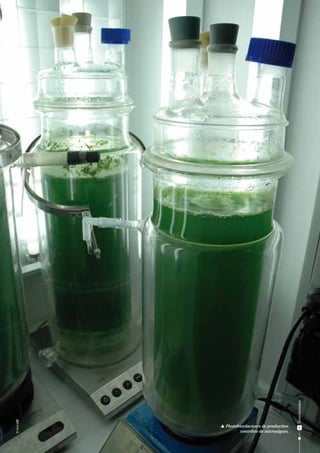 Écotechnologies

© Inra-LBE

 Photobioréacteurs de production
contrôlée de microalgues.

5

 