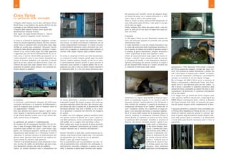 Gli anaconda sono immobili, mentre gli alligatori vengo-
no forzati ad uscire, ma si vedono sofferenti e in diffi-
coltà a stare in piedi e fare quattro passi.
Dulcis in fundo: un leone marino di 400 chilogrammi, te-
nuto nella solita scatola di ferro, e due squali in una spe-
cie di vasca da bagno.
Inoltre, vengono fatti sfilare due poveri istrici e due pin-
guini. In poco più di una vasca da bagno due squali nu-
trice, ora morti.
Il percorso
La LAV segue il Victor da anni. Nonostante numerosi sol-
leciti alle Istituzioni preposte al controllo, non succede
assolutamente nulla.
In modo particolare, si nota che nessuna attenzione è sta-
ta rivolta alle prescrizioni della Commissione Scientifica Ci-
tes in quanto, in nessuno dei verbali di ispezione emessi e
in possesso di questa Associazione, vengono menzionati i
“criteri” e specificato se siano stati rispettati o meno.
Infatti, la scarsa attenzione degli organi che hanno ef-
fettuato i controlli è stata unicamente posta da una par-
te all’assenza di malattie in atto (soprattutto infettive) e
dall’altra all’esistenza dei previsti certificati di origine e
gli altri requisiti CITES, mentre si è “voluto” sorvolare sul-
le condizioni di detenzione degli animali.
Emblematica la risposta data dall’ASL di Pescara, riguar-
dante un sopralluogo eseguito, in cui, mentre si parla di
benessere animale, contestualmente si fa riferimento a
delle ventole che avrebbero il compito di mantenere la
temperatura all’interno di un “tunnel”, termine che, in
tutti i vocabolari italiani, sta a significare un luogo an-
gusto o una situazione pericolosa o comunque negativa.
Ma il 18 marzo 2009 sembra che la situazione possa ve-
ramente cambiare, la trasmissione televisiva Striscia la
Notizia (Canale 5), trasmette un servizio sul Circo ‘‘Victor
lo spettacolo delle meraviglie”, attendato in provincia di
Ravenna. Dal servizio televisivo, durante il quale si rac-
coglie anche la testimonian-
za del dottor Nardini, Vete-
rinario e membro del Consi-
glio Direttivo della SIVAE, si
evincono le gravissime con-
dizioni di detenzione di tutti
gli animali utilizzati nell’esi-
bizione e l’evidente stato di
sofferenza di alcuni di loro.
La vicenda assume una forte
rilevanza, viene presentata
addirittura un’interrogazione
parlamentare e l‘Ente Nazionale Circhi prende le distanze
dal Victor, auspicando maggiori e sempre più severi con-
trolli ‘’nei confronti di mostre faunistiche o similari che
con il circo hanno in comune poco o niente’‘ ed invitan-
do le autorità competenti a predisporre i provvedimenti
necessari nei confronti di chi non rispetta la legge.
Ma nel maggio del 2009 il Victor arriva in provincia di
Pistoia, e precisamente a Montecatini Terme, dove final-
mente non ci si gira dall’altra parte per non vedere . La
ASL è decisa a procedere al sequestro preventivo degli
animali del Victor, ravvisando gli estremi dei reati di mal-
trattamento e di detenzione in condizioni incompatibili
con la loro natura.
Il 27 maggio tutti gli animali del Victor vengono posti
sotto sequestro dall’Asl di Montecatini e dagli Agenti del
NIRDA (Nucleo Investigativo Reati a Danno di Animali)
del Corpo Forestale dello Stato. Al momento del seque-
stro, gli animali vengono trovati completamente al buio.
Il sequestro preventivo e probatorio viene convalidato dal-
la Procura della Repubblica di Pistoia ma non vi è la pos-
sibilità di trasferire subito gli animali in strutture ade-
guate in quanto, dagli accertamenti sanitari eseguiti, emer-
gono delle zoonosi (quali la clamidiosi e la salmonellosi)
a causa delle quali diventa necessario porre il Circo in
quarantena.
21
Circo Victor
Lo spettacolo delle meraviglie
Il Registro delle Imprese non ha dati sull’impresa Victor
David Show; si può dedurre che questa dicitura sia solo
un’insegna e non individui quindi un’azienda.
Il Registro delle Imprese fornisce invece questi dati:
denominazione Calvaruso Vittorio.
Sede legale: Via Largo Amedeo Moscati 5 - Salerno
Attività: spettacoli viaggianti, mostra faunistica.
Si tratta di un’attività di spettacolo viaggiante, un’espo-
sizione di animali leggermente diversa dal Circo comune-
mente inteso e compresa nelle attività della citata legge
337/68; gli animali sono considerati “attrazioni” inserite
nell’elenco delle attività spettacolari, attrazioni e tratte-
nimenti di cui all’art.4 della legge 18.3.1968, approvato
e aggiornato con vari Decreti Interministeriali tra cui ul-
timo, noto, il decreto 28-02-2005, precisamente tra le
“medie attrazioni”, sotto la voce:“mostre faunistiche zoo.
Trattasi di strutture, padiglioni o di automezzi o rimorchi
aperti da un lato, riparati con sbarre di ferro o vetri, nel-
l’interno dei quali sono posti animali feroci o non, o ri-
produzioni di animali, anche animate, con eventuale esi-
bizione davanti al pubblico”.
La struttura
La struttura è perfettamente adeguata alla definizione
contenuta nell’elenco e al momento dell’allestimento i
mezzi di trasporto sono accostati al tendone/ teatro di
cui rappresentano il fondale.
Non sono allestite aree esterne rispetto a quelle in cui
viene eseguito lo spettacolo perciò le gabbie che ospita-
no gli animali durante lo show sono la loro dimora abi-
tuale, nonché mezzo di trasporto.
Lo spettacolo, gli animali e il maltrattamento
Va ricordato che la Commissione Scientifica Cites ha for-
nito, in data 10 maggio 2000, precisi “Criteri per il man-
tenimento degli animali nei circhi e nelle mostre viag-
gianti”, che forniscono parametri minimi per la corretta
sopravvivenza degli animali cui si riferiscono, nonché le
indicazioni di carattere sanitario ed amministrativo che
devono essere osservate dalle strutture che vogliono de-
tenere animali da utilizzare negli spettacoli.
“Criterio 11: gli animali dovranno essere mantenuti in strut-
ture, sia fisse che mobili, che permettano agli stessi di po-
tersi liberamente sottrarre alla vista del pubblico.
Inoltre, gli animali dovranno avere a disposizione sia
strutture di ricovero per ripararsi da condizioni climati-
che avverse, sia idonei arricchimenti ambientali atti ad
evitare comportamenti stereotipati. Le relative strutture
di mantenimento dovranno essere attrezzate con stru-
menti atti a regolare la temperatura degli ambienti in
funzione delle singole esigenze degli esemplari ospitati.”
Di contro, la situazione al Victor più volte documentata:
un centinaio di uccelli, compresi grandi rapaci ma anche
notturni, avvoltoi, pellicani, marabù, ed altri tra cui alcu-
ni particolarmente protetti perché in grave pericolo di
estinzione, sono costretti in anguste gabbie che ne im-
pediscono non solo il volo ma anche normali movimenti
di estensione delle ali e che non hanno all’interno alcu-
no stimolo ambientale e nemmeno la presenza degli in-
dispensabili trespoli. Gli animali vengono fatti uscire per
una breve esibizione attirati dal cibo e poi rientrano, sem-
pre attirati dal cibo, in quella che la presentatrice dello
spettacolo definisce “casa loro”. Il fondale su cui si muo-
ve lo spettacolo è costituito dal rimorchio che trasporta
gli animali.
Le gabbie, non certo adeguate, possono contenere anche
uno svariato numero di animali che, a parte i pochi mi-
nuti dello spettacolo, vivono perennemente imprigionati
nelle gabbie, per la maggior parte del tempo al buio.
Molte gabbie sono chiuse da pannelli di legno scorrevoli,
che quindi “piombano” letteralmente gli animali, e che
vengono abbassati solo al momento dell’esibizione .
Durante l’intervallo un gufo reale, uccello notturno per ec-
cellenza, viene messo in bella mostra sotto i fari accecanti
sul palcoscenico, per le foto di rito con gli spettatori.
Quindi si passa agli animali acquatici.
Con un automatismo sale una piattaforma che alza a li-
vello di palcoscenico due contenitori che contengono, ri-
spettivamente, anaconda e alligatori: si aprono uno alla
volta, si mostrano e subito dopo ritornano nelle segrete.
20
 