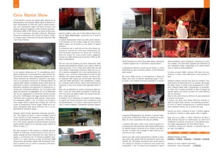 bilità di detenere nei circhi l’Orso polare (Ursus maritimus),
i requisiti seguenti non si riferiscono a questa specie”.
La Maxymova dimostra, quindi, già da tempo un chiaro
disinteresse sia delle normative italiane, sia del benessere
degli animali.
Nel marzo 2009, durante un attendamento a Reana del
Rojale, viene fatto un ulteriore sopralluogo presso il circo.
Le prime e più evidenti mancanze riguardano le pessime
condizioni dell’ippopotamo che reiterano il mancato rispet-
to dei Criteri di Detenzione CITES, non essendo per lui pos-
sibile, fra l’altro, nascondersi alla vista del pubblico
I volontari LAV hanno inoltre avuto modo di assistere al-
la preparazione dello spettacolo della signora Niedermayer:
un assurdo numero costituito da un cavallo, una tigre e
un orso. Il cavallo, con in groppa la tigre traina un car-
retto con un orso a bordo.
Ancora una volta risulta estremamente evidente la viola-
zione delle Linee Guida CITES che specificano molto chia-
ramente che “Particolare attenzione deve essere posta a
non imporre la vicinanza di specie per loro natura non
compatibili” e che “In nessun caso esemplari di specie
diverse potranno essere trasportati o mantenuti in strut-
ture attigue, con particolare riguardo alle differenze di
età e gerarchie sociali e soprattutto se le relative specie
sono in rapporto preda-predatore”.
Di nuovo, ad aprile 2009, i volontari LAV videro che nuo-
vamente il numero della Maxymova veniva portato in
pista.
Sembrano bastare solo due mesi, però, per cambiare il ba-
silare istinto di sopravvivenza di un animale. Nel giugno
del 2009, infatti, il cavallo viene dissequestrato e resti-
tuito a Martino Maxi Jutta, il proprietario. La motivazio-
ne rileva che il cavallo, portando la tigre in groppa da
quando questa era ancora cucciolo, era ormai abituato
alla sua vicinanza.
Nulla si dice sulla vicinanza dell’orso, da poco acquistato
e inserito nel numero.
E nulla si dice delle Linee Guida CITES che, essendo re-
datte da esperti della materia, non stabiliscono parame-
tri entro cui specie etologicamente in conflitto possono
essere detenute insieme, ma lo vietano del tutto.
Ancora una volta, a distanza di mesi, il numero oggetto
di denuncia è tornato in pista, questa volta a Cagliari:
Negli anni tra il 2006 e il 2010 il Ministero dei Beni e
delle Attività Culturali ha rendicontato un totale di €
73.087,00 di contributi stanziati per il Sig. Martino Eusa-
nio, legale rappresentante del Circo Martin Show.
I contributi, richiesti con costanza e in aumento ogni an-
no, sono così suddivisi:
2006 2007 2008 2009 2010
Attività Circense in Italia
8.000,00 7.000,00 10.000,00 12.000,00 15.000,00
Acquisto di nuovi impianti, macchinari,
attrezzature e beni strumentali 21.087,00
Circo Martin Show
Il Circo Martin è inserito nel registro delle imprese con la
denominazione Circo Equestre Martin Show di Martino Eu-
sanio. Diversamente da molti altri circhi le attività autoriz-
zate sono strettamente legate all’attività circense: circo
equestre, spettacoli viaggianti, mostra faunistica itinerante.
Nell’ottobre 2008 la LAV effettua una prima verifica pres-
so il circo in questione, attendato a Bolzano. Rilevando
situazioni di detenzione non corretta di animali, vengo-
no richiesti anche l’intervento del Servizio Veterinario ASL
e del Corpo Forestale.
Le loro risposte ribadiscono che “in contraddizione all’al-
legata planimetria di posizionamento degli animali sot-
toscritta dal titolare stesso, l’ippopotamo pigmeo era rin-
chiuso all’interno del rimorchio di trasporto e non dispo-
neva di un parchetto esterno per la movimentazione nel
rispetto delle esigenze etologiche proprie della specie (in
particolare di tenere costantemente umida la cute) e la
detenzione all’aperto non garantiva le condizioni di si-
curezza per l’incolumità pubblica”, che “La voliera nella
quale era detenuto un pappagallo Ara era di dimensioni
tali da non raggiungere le dimensioni minime previste
dal punto 7 dell’allegato alla legge provinciale nr.9 (n.d.t.
“Interventi per la protezione degli animali e prevenzione
del randagismo 2000”) e che “il rettilario era di dimen-
sioni troppo ridotte rispetto allo sviluppo dei rettili ed
inoltre la temperatura interna troppo fredda per le esi-
genze fisiologiche delle specie detenute, non vi era di-
sponibilità di sufficiente acqua.”
Vengono inoltre rilevate importanti mancanze documen-
tali: “dal registro di carico e scarico avrebbero dovuto
essere presenti un Tegu Argentino e un Pitone Moluro,
mentre assolutamente non era registrato il Pitone di Se-
ba […] Per quanto riguarda la documentazione mancava
quella relativa all’Ara ed era lacunosa quella relativa al
Pitone di Seba […].”
Nei mesi successivi la LAV continua a richiedere agli Enti
Pubblici di effettuare controlli presso il Circo ma le ri-
sposte, quando arrivano, dichiarano che tutto risulta in
regola o, in alternativa che “la licenza di pubblico spet-
tacolo […] è stata concessa in data 18 dicembre 2008
senza alcuna prescrizione relativa alla detenzione di ani-
mali in quanto non ne risulta la presenza nella docu-
mentazione presentata”.
Dall’anno 2009 si unisce poi al Circo Martin Show la do-
matrice Maxy Niedermayer, conosciuta con il nome di
“Maxymova“.
La signora Niedermayer rimane una delle poche domatri-
ci ad utilizzare, nei suoi numeri, degli orsi. Fino all’anno
2008 si esibiva con lei persino un orso polare, in seguito
deceduto.
Le motivazioni per le quali gli orsi non sono animali ge-
neralmente utilizzati nei circhi sono estremamente evi-
denti da quanto specificato nei “Criteri per il manteni-
mento di animali nei circhi e nelle mostre viaggianti”
emanati nel 2000 dall’Autorità Scientifica CITES del Mi-
nistero dell’Ambiente:
“Gli orsi sono dei predatori di grosse dimensioni, dalle
abitudini principalmente solitarie, assai robusti, dotati di
artigli pericolosi, il che li rende poco adatti alla vita del
circo. Infatti è impossibile mantenere degli orsi nei cir-
chi in maniera compatibile con le loro caratteristiche bio-
logiche e con i peculiari comportamenti sociali di ogni
individuo. Ad esempio bisogna ricordare che diverse spe-
cie originarie delle regioni più settentrionali trascorrono
i mesi più freddi riducendo il loro metabolismo e andan-
do in letargo. Inoltre diverse specie sono minacciate di
estinzione e sono tutte incluse nelle appendici della CI-
TES.
Oltre alle considerazioni in merito al benessere degli ani-
mali, i circhi non sono adatti ad ospitare le diverse spe-
cie di orsi anche per ragioni legate alla sicurezza del pub-
blico e degli operatori. […]
Si ribadisce che le indicazioni sui requisiti minimi indicate
di seguito non devono pertanto essere considerate come
una giustificazione o un invito a tenere queste specie nei
circhi o mostre viaggianti. Considerata l’assoluta impossi-
16
 