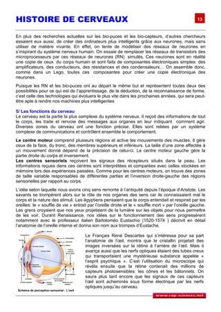 HISTOIRE DE CERVEAUX                                                                                13


En plus des recherches actuelles sur les bio-puces et les bio-capteurs, d’autres chercheurs
essaient eux aussi, de créer des ordinateurs plus intelligents grâce aux neurones, mais sans
utiliser de matière vivante. En effet, on tente de modéliser des réseaux de neurones en
s’inspirant du système nerveux humain. On essaie de remplacer les réseaux de transistors des
microprocesseurs par ces réseaux de neurones (RN) simulés. Ces neurones sont en réalité
une copie de ceux du corps humain et sont faits de composantes électroniques simples: des
amplificateurs, des conducteurs, des résistances et des condensateurs… On assemble donc,
comme dans un Lego, toutes ces composantes pour créer une copie électronique des
neurones.
Puisque les RN et les bio-puces ont au départ le même but et représentent toutes deux des
possibilités pour ce qui est de l’apprentissage, de la déduction, de la reconnaissance de forme,
c’est celle des technologies qui évoluera le plus vite dans les prochaines années, qui sera peut-
être apte à rendre nos machines plus intelligentes

5/ Les fonctions du cerveau
Le cerveau est la partie la plus complexe du système nerveux. Il reçoit des informations de tout
le corps, les traite et renvoie des messages aux organes en leur indiquant comment agir.
Diverses zones du cerveau ont une fonction précise. Elles sont reliées par un système
complexe de communications et contrôlent ensemble le comportement.
Le centre moteur comprend plusieurs régions et active les mouvements des muscles. Il gère
ceux de la face, du tronc, des membres supérieurs et inférieurs. La taille d’une zone affectée à
un mouvement donné dépend de la précision de celui-ci. Le centre moteur gauche gère la
partie droite du corps et inversement.
Les centres sensoriels reçoivent les signaux des récepteurs situés dans la peau. Les
informations reçues dans ces centres sont interprétées et comparées avec celles stockées en
mémoire lors des expériences passées. Comme pour les centres moteurs, on trouve des zones
de taille variable responsables de différentes parties et l’inversion droite-gauche des régions
sensorielles par rapport au corps.
L’idée selon laquelle nous avons cinq sens remonte à l’antiquité depuis l’époque d’Aristote. Les
savants se trompèrent alors sur le rôle de nos organes des sens car ils connaissaient mal le
corps et la nature des stimuli. Les égyptiens pensaient que le corps entendait et respirait par les
oreilles: le « souffle de vie » entrait par l’oreille droite et le « souffle mort » par l’oreille gauche.
Les grecs croyaient que nos yeux projetaient de la lumière sur les objets pour nous permettre
de les voir. Durant Renaissance, nos idées sur le fonctionnement des sens progressèrent
notamment avec le professeur italien Bartoloméo Eustachio (1520-1574 ) décrivit en détail
l’anatomie de l’oreille interne et donna son nom aux trompes d’Eustache.

                                           Le Français René Descartes qui s’intéressa pour sa part
                                           l’anatomie de l’œil, montra que le cristallin projetait des
                                           images inversées sur la rétine à l’arrière de l’œil. Mais il
                                           avança aussi que les nerfs optiques étaient des tubes creux
                                           qui transportaient une mystérieuse substance appelée «
                                           l’esprit psychique ». C’est l’utilisation du microscope qui
                                           révéla ensuite que la rétine contenait des millions de
                                           capteurs photosensibles: les cônes et les bâtonnets. On
                                           saura plus tard encore que les signaux de ces capteurs
                                           l’œil sont acheminés sous forme électrique par les nerfs
                                           optiques jusqu’au cerveau.
 Schéma de perception sensoriel : L’oeil
 