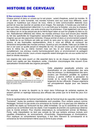 HISTOIRE DE CERVEAUX                                                                                          14




                                                                                                                      Dossier pédagogique
6/ Des cerveaux et des mondes
Chaque animal vit dans un univers qui lui est propre : autant d'espèces, autant de mondes. Si
on se réfère à notre humanité, nos mondes humains sont eux aussi tous différents, aussi
uniques et mystérieux que chacun de nous, même si notre communication élaborée nous
permet de nous les raconter en paroles et en images. Par exemple, il n'existe pas une forêt en
tant que milieu objectivement déterminé: il y a une forêt pour le forestier, une pour le chasseur,
une autre pour le botaniste, une autre encore pour le promeneur. C'est également vrai de tous
les milieux car on ne les perçoit pas de la même façon selon ce que l'on projette d'y faire ou d'y
voir. Radicalement différents des nôtres, les mondes animaux nous sont encore plus interdits
du fait des spécificités de l'organisation sensorielle de chaque espèce. Nous ne pouvons les
imaginer que par des approches indirectes. Chaque animal vit dans un environnement subjectif.
La réalité de ce qui l'entoure est celle qui prend du sens pour lui dans ses perceptions, ses
actions, et ses éventuelles représentations. Ainsi il, nous est difficile de concevoir les
dimensions temporelles des mondes animaux. Quand je vois une abeille, l'idée que j'ai d'elle n'a
rien à voir avec ce qu'elle perçoit et interprète de moi. On pourrait croire qu'on est ensemble
dans le même lieu au même moment mais son lieu et son temps à elle m'échappe
complètement. Les animaux vivants harmonieusement dans un environnement ne partagent
donc pas le même monde. Leurs univers respectifs restent étrangers les uns aux autres tout en
étant en étroite interaction.
Les organes des sens jouent un rôle essentiel dans la vie de chaque animal. De multiples
stimuli sont captés par des récepteurs variés. L'évolution s'accompagne très souvent d'une
spécialisation fonctionnelle des organes perceptifs.

                                                                     Cette adaptation perpétuelle entraîne une
                                                                     diversification et une sophistication des sens
                                                                     chez les animaux. Le développement des sens,
                                                                     soutenu par l'évolution parallèle du système
                                                                     nerveux, a permis d'affiner la perception du
                                                                     monde et la survie d'une espèce dépend
Importance croissante des aires associatives du rat à l’humain, en
passant par le chat. Aire sensorimotrice en vert; aire visuelle en
                                                                     largement de leur efficacité. Chaque organisme
rouge, aire auditive en bleu.                                        est principalement équipé pour ses besoins
                                                                     vitaux.

Par exemple, le sonar du dauphin ou la vision dans l’infrarouge de certaines espèces de
serpent permet un repérage beaucoup plus efficace des proies que ne le ferait les yeux d'un
humain.

Entre la représentation de l'animal machine et celle de l'animal doué de capacités mentales très
"humaines", toutes les positions intermédiaires sont possibles. Pour certains auteurs comme
Heidegger, l'animal n'a pas accès à la conscience du monde car il ne peut pas s'en détacher et
se libérer les objets qui l'entourent de leur utilité immédiate. Ce qui le caractérise se sont des
pulsions qui se confondent avec les objets: il est incapable de prendre une quelconque distance
avec le monde ambiant. Pour d'autres observateurs du comportement animal, tel Merleau-
Ponty, cette interprétation ne tient pas compte du fait que certains animaux évolués sont
capables d'hésitations, de renoncements, d'inventivités, d'apprentissages et d'anticipations.
Pour expliquer ce comportement dynamique, il faut faire intervenir la connaissance et la
conscience de l'environnement même sous la forme la plus simple.
 