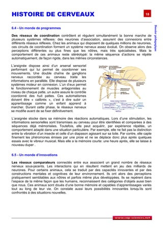 HISTOIRE DE CERVEAUX                                                                           18




                                                                                                       Dossier pédagogique
6.4 - Un monde de programmes

Des réseaux de coordination contrôlent et régulent simultanément la bonne marche de
plusieurs systèmes réflexes: des neurones d‘association, assurent des connexions entre
différents réseaux réflexes. Chez les animaux qui disposent de quelques millions de neurones,
ces circuits de coordination forment un système nerveux assez évolué. On observe alors des
perceptions différentes ou plus fines que les nôtres, mais très spécialisées. Mais le
comportement de ces animaux reste stéréotypé: la même séquence d’actions se répète
automatiquement, de façon rigide, dans les mêmes circonstances.

L’araignée dispose ainsi d’un arsenal sensoriel
performant qui lui permet de coordonner ses
mouvements. Une double chaîne de ganglions
nerveux raccordée au cerveau traite les
informations en parallèle. Elle dispose de plusieurs
systèmes moteur en connexion. L’un d’eux permet
le fonctionnement de muscles antagonistes au
niveau de chaque patte, un autre assure le contrôle
coordonné des huit pattes. Ces automatismes
doivent être « calibrés », c’est à dire subir un
apprentissage comme un enfant apprend à
marcher. Durant cette phase, le réseaux nerveux
se modifie avant de se fixer définitivement.

L’araignée stocke dans sa mémoire des réactions automatiques. Lors d’une stimulation, les
informations sensorielles sont transmises au cerveau pour être identifiées et comparées à des
séquences déjà mémorisées. Toutefois, elle peut acquérir, par expérience répétée, un
comportement adapté dans une situation particulière. Par exemple, elle ne fait pas la distinction
entre la vibration d’un insecte et celle d’un diapason agissant sur sa toile. Par contre, elle capte
finement les phéromones émises par une proie et ne se déplace donc plus après quelques
essais avec le vibreur musical. Mais elle a la mémoire courte: une heure après, elle se laisse à
nouveau duper .


6.5 - Un monde d’innovations

Les réseaux comparateurs connectés entre eux associent un grand nombre de réseaux
nerveux sous-jacents. Les interactions qui en résultent mettent en jeu des milliards de
neurones. Pour certains animaux, cela se traduit par des capacités innovantes et par des
constructions mentales et cognitives de leur environnement. Ils ont alors des perceptions
pratiquement semblables aux nôtres et parfois même plus développées. Ils se repèrent dans
l’espace de la même façon que les humains, reconnaissent des catégories d’objets aussi bien
que nous. Ces animaux sont doués d’une bonne mémoire et capables d’apprentissages variés
tout au long de leur vie. On constate aussi leurs possibilités innovantes lorsqu’ils sont
confrontés à des situations nouvelles.
 