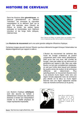 HISTOIRE DE CERVEAUX                                                                                                        20




 Dans les illusions dites géométriques, on
 retrouve     généralement   un    élément
 "inducteur" qui provoque la mauvaise
 interprétation et un élément "test" qui la
 subit. Par exemple, dans l’illusion de
 Zöllner (à droite), les petites lignes
 verticales et horizontales sont l’élément
 inducteur et les longs traits obliques,
 l’élément test.

                                                         Dans l’illusion de Zöllner, les grandes lignes sont parallèles même
                                                         si on a l’impression qu’elles vont se croiser si on les prolonge.


Les illusions de mouvement sont une autre grande catégorie d'illusions d'optique.

Certaines images peuvent donner l’illusion que leurs éléments bougent lorsque l’observateur se
déplace légèrement par rapport à celle-ci.

                                                             L’illusion de mouvement de certaines des
                                                             roues de l’image ci-dessous se produit
                                                             uniquement dans notre vision périphérique.
                                                             Sitôt qu’on fixe une roue, elle s’arrête de
                                                             bouger, mais pas celles qui se retrouvent en
                                                             périphérie par rapport à elle. Bien que cette
                                                             illusion ne soit pas complètement expliquée,
                                                             on sait que l’ordre dans lequel sont placées
                                                             les quatre zones de couleur et de luminance
                                                             différente      est    déterminant.     Plus
                                                             spécifiquement, le mouvement illusoire tend
                                                             à se produire d’une région noire vers une
                                                             région foncée adjacente mais de luminance
                                                             plus élevée (ici le bleu) ou d’une région
                                                             blanche vers une région adjacente colorée
                                                             mais de moindre luminance (ici le jaune).




 Les illusions d’optique artistiques
 sont des œuvres où l’artiste a
 délibérément introduit des éléments                                                       Jeune fille ou vieille femme ?
                                                                                           Le menton de la jeune
 destinés à rendre son interprétation                                                      correspond au nez de la
 insolite ou la réalité physique de                                                        vieille, l'oeil de la vieille
 l’objet représenté impossible.                                                            correspond à l'oreille de la
                                                                                           jeune...




Source : http://lecerveau.mcgill.ca/flash/index_i.html
 