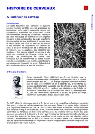HISTOIRE DE CERVEAUX                                                                           5




                                                                                                     Dossier pédagogique
A l’intérieur du cerveau

Introduction
Le vaste labyrinthe que constitue le système
nerveux humain contrôle tous les processus de
l’organisme, qu’ils soient conscients comme nos
mouvements volontaires ou autonomes comme
nos battements cardiaques. Le cerveau reçoit par
les voies nerveuses les informations des organes
des sens et des autres parties du corps sous forme
de minuscules signaux électriques. Il renvoie, sous
la même forme, des influx qui assurent les actions
et les fonctions de l’organisme. Le cerveau est
aussi le siège de l’intelligence, de la créativité, de
la mémoire, des perceptions, des réactions des
émotions... Son intense activité consomme à elle
seule un cinquième de l’énergie fournie par le
glucose. Les scientifiques en savent déjà
beaucoup sur les mécanismes du corps humain
mais ils connaissent encore mal le puissant organe
qui nous permet d’acquérir ce savoir. Cela est du à
l’étonnante complexité de sa microstructure.


1/ Un peu d’histoire.

                        Durant l’Antiquité, Platon (427–348 av.J.C.) eut l’intuition que le
                        cerveau était le centre de l’intelligence. Mais ensuite, selon la pensée
                        d’Aristote (384-322 av.J.C.) on avança longtemps l’idée que le coeur
                        était le siège des émotions et on a accordé peu d’importance au
                        cerveau dont la fonction supposée était de refroidir le sang. Plus tard,
                        Galien (131-201 ap.J.C.) , médecin des gladiateurs du Colisée de
                        Rome émit l’hypothèse que le cerveau était relié à la moelle épinière
                        et, par ses ramifications nerveuses, à toutes les partie du corps
                        notamment aux muscles et aux organes des sens.



Au XVIIè siècle, le microscope permit enfin de voir que le cerveau et les nerfs étaient constitués
d’un grand nombre de cellules nerveuses: les neurones. Galvani, un savant italien, découvrit
que l’organisme était parcouru par de petits courants électriques acheminés par les nerfs pour
être transmis ou reçus par le cerveau. Ainsi, au cours de l’histoire, de nombreuses hypothèses
confirmées ou farfelues ont bâti notre connaissance du système nerveux. Parmi les idées
fausses, on a cherché à démontrer à priori que l’intelligence était proportionnelle à la taille du
cerveau. Cet exemple de thèse peu scientifique a été soutenue par des résultats parfois
faussés. Les connaissances sur le fonctionnement du cerveau impose, une prudente sagesse
dénuée de tentations sectaires car on pourra à l’avenir comprendre et contrôler une part de plus
en plus grande de l’esprit humain.
 