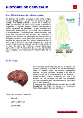 HISTOIRE DE CERVEAUX                                                                          6




                                                                                                  Dossier pédagogique
2/ Les différents organes du systèmes nerveux.

On distingue le système nerveux central et le système
nerveux périphérique. Le premier est composé par le
cerveau et la moelle épinière, le second par le réseau des
nerfs qui véhiculent les influx nerveux dans l’ensemble de
l’organisme. Le système nerveux, contient des milliards de
cellules nerveuses, les neurones. Les plus nombreux sont
les neurones d’association qui se trouvent dans le cerveau et
la moelle épinière. Ces milliards de cellules reçoivent sans
cesse des informations, les stockent, les analysent et
renvoient des instructions volontaires ou automatiques au
différentes parties du corps ..Les autres neurones, moteurs et
sensitifs, se trouvent hors du système nerveux central: ils
sont longs et fins et forment des faisceaux, les nerfs, qui
servent de connexions entre le cerveau, la moelle épinière et
le reste du corps. Le système nerveux périphérique
représente environ 75 kilomètres de nerfs qui transmettent
des massages à une vitesse pouvant atteindre plus de 400
km/h.




2.1- Le cerveau.


                                      Le cerveau est une masse grise, plissée et protégée par
                                      la boite crânienne. Il assure le bon fonctionnement du
                                      corps et contrôle toutes les activités: perceptions,
                                      langage, motricité, émotions, pensées...Il est relié au
                                      reste du corps par la moelle épinière et à la tête par 12
                                      paires de nerfs crâniens. A l’intérieur du crâne, il est
                                      entouré par les méninges. Ce sont des enveloppes
                                      concentriques qui ont un rôle protecteur (la dure-mère)
                                      et nourricier (piemère).
                                      Il baigne dans un liquide céphalo-rachidien qui permet à
                                      l’encéphale de flotter et assure une suspension
                                      hydraulique capable d’amortir les chocs.


Le cerveau comprend trois parties :

   -   Le cortex

   -   Le tronc cérébral

   -   Le cervelet
 